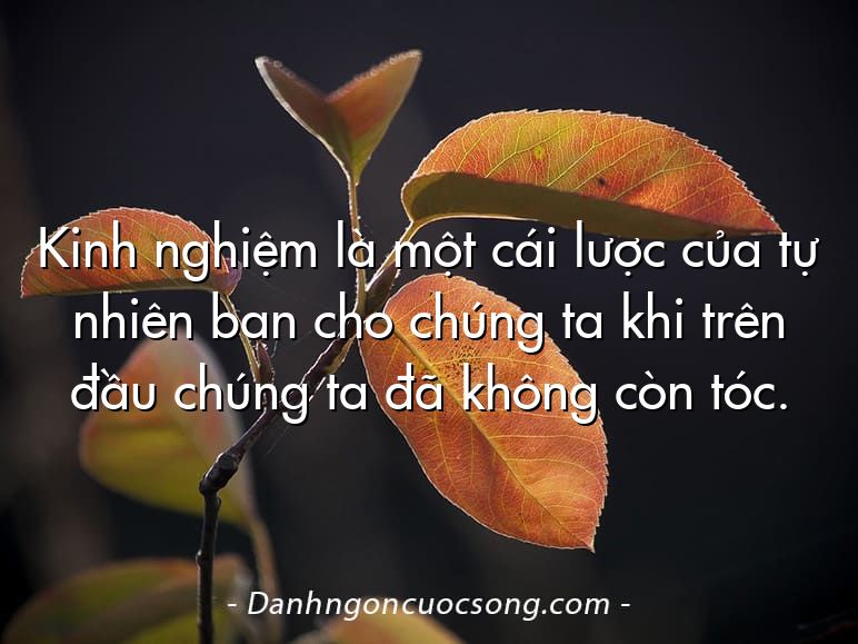 Kinh nghiệm là một cái lược của tự nhiên ban cho chúng ta khi trên đầu chúng ta đã không còn tóc.