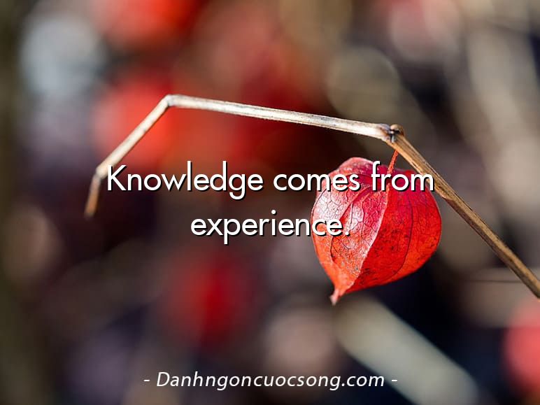 Knowledge comes from experience.