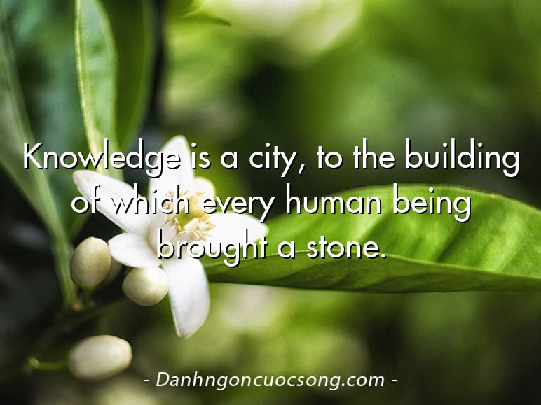 Knowledge is a city, to the building of which every human being brought a stone.