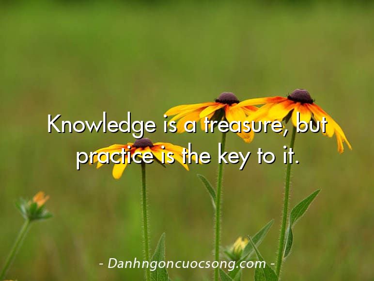 Knowledge is a treasure, but practice is the key to it.