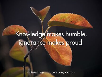 Knowledge makes humble, ignorance makes proud.