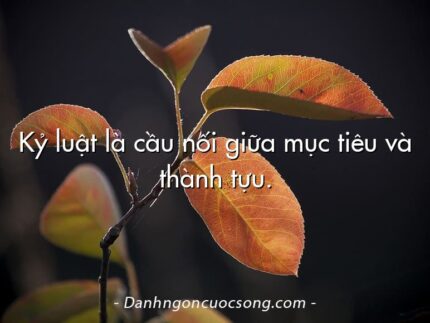 Kỷ luật là cầu nối giữa mục tiêu và thành tựu.