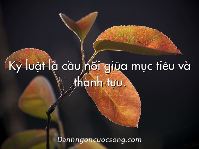 Kỷ luật là cầu nối giữa mục tiêu và thành tựu.