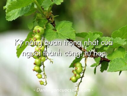 Kỹ năng quan trọng nhất của người thành công: tự học