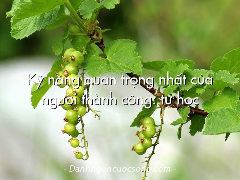 Kỹ năng quan trọng nhất của người thành công: tự học