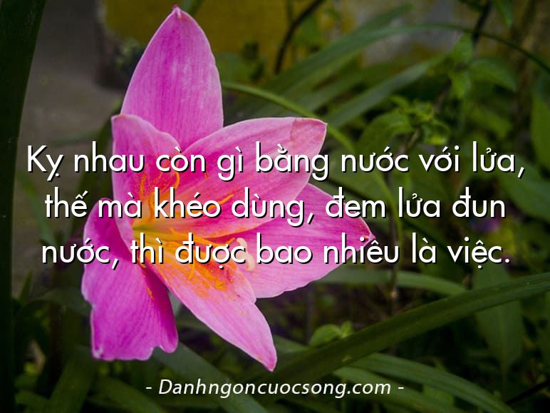Kỵ nhau còn gì bằng nước với lửa, thế mà khéo dùng, đem lửa đun nước, thì được bao nhiêu là việc.