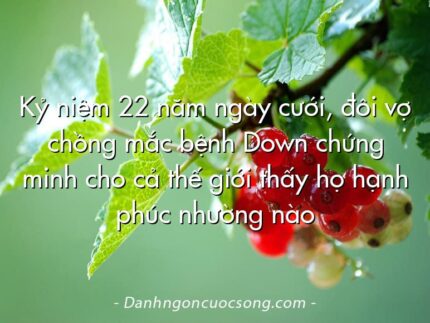 Kỷ niệm 22 năm ngày cưới, đôi vợ chồng mắc bệnh Down chứng minh cho cả thế giới thấy họ hạnh phúc nhường nào