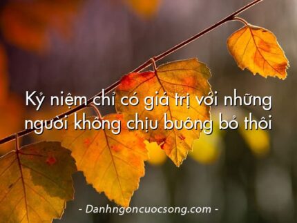 Kỷ niệm chỉ có giá trị với những người không chịu buông bỏ thôi