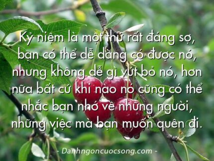 Kỷ niệm là một thứ rất đáng sợ, bạn có thể dễ dàng có được nó, nhưng không dễ gì vứt bỏ nó, hơn nữa bất cứ khi nào nó cũng có thể nhắc bạn nhớ về những người, những việc mà bạn muốn quên đi.