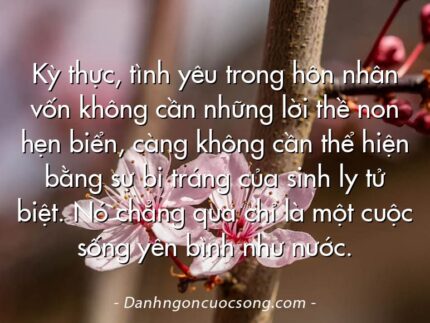 Kỳ thực, tình yêu trong hôn nhân vốn không cần những lời thề non hẹn biển, càng không cần thể hiện bằng sự bi tráng của sinh ly tử biệt. Nó chẳng qua chỉ là một cuộc sống yên bình như nước.