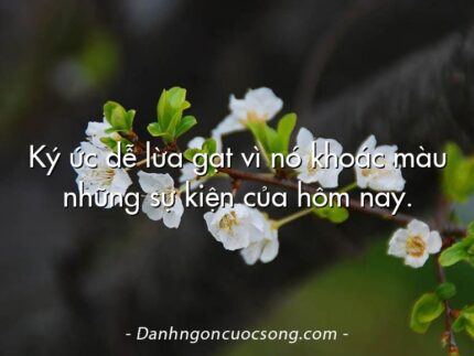 Ký ức dễ lừa gạt vì nó khoác màu những sự kiện của hôm nay.
