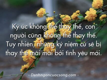 Ký ức không thể thay thế, con người cũng không thể thay thế. Tuy nhiên, những kỷ niệm cũ sẽ bị thay thế mãi mãi bởi tình yêu mới.