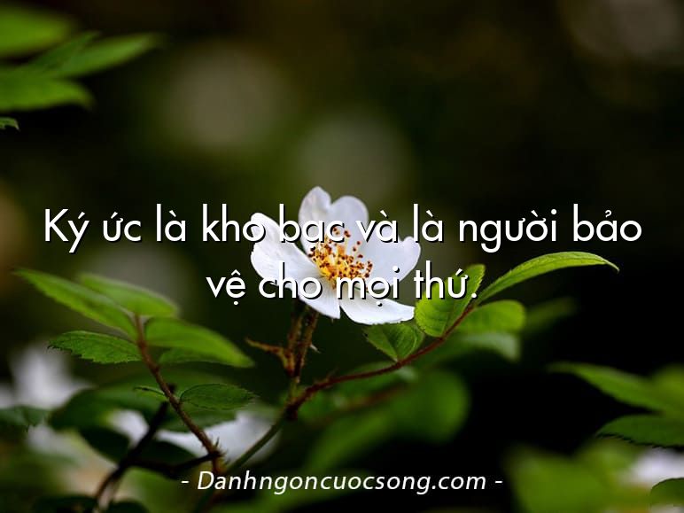 Ký ức là kho bạc và là người bảo vệ cho mọi thứ.