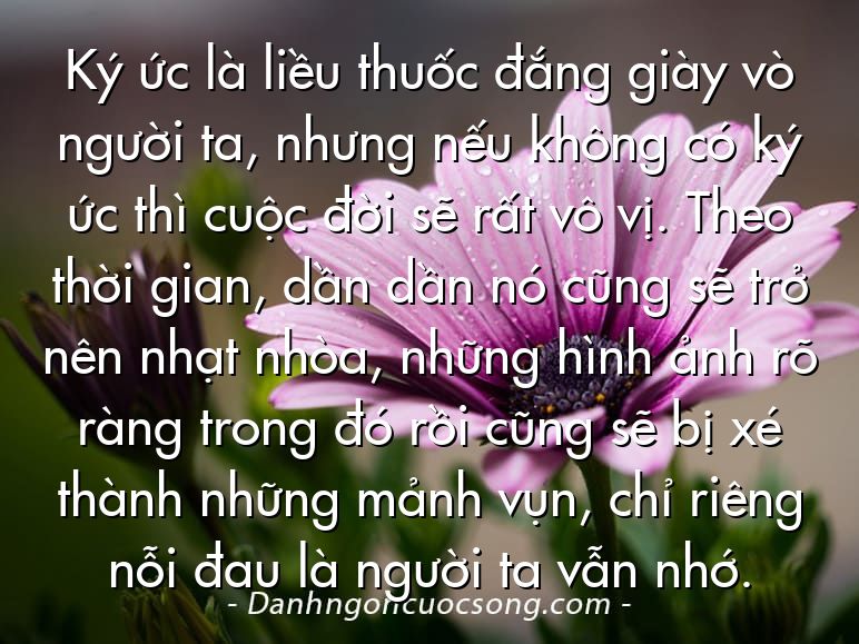Ký ức là liều thuốc đắng giày vò người ta, nhưng nếu không có ký ức thì cuộc đời sẽ rất vô vị. Theo thời gian, dần dần nó cũng sẽ trở nên nhạt nhòa, những hình ảnh rõ ràng trong đó rồi cũng sẽ bị xé thành những mảnh vụn, chỉ riêng nỗi đau là người ta vẫn nhớ.