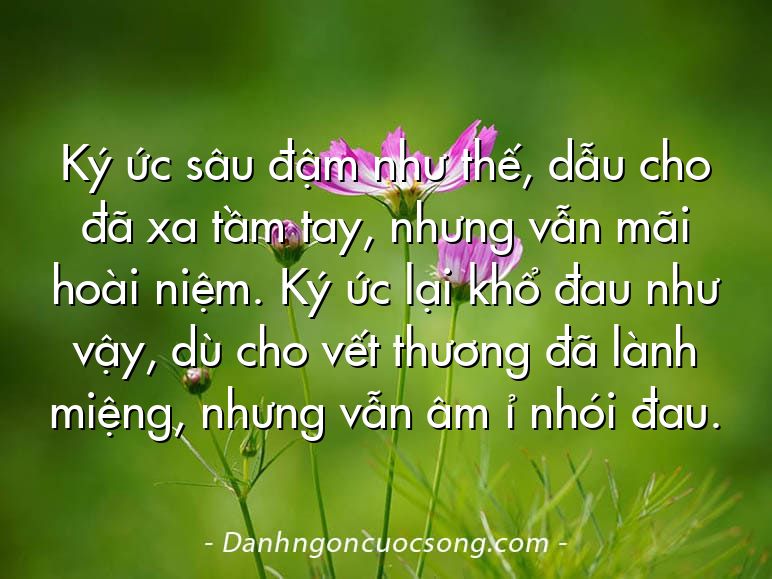 Ký ức sâu đậm như thế, dẫu cho đã xa tầm tay, nhưng vẫn mãi hoài niệm. Ký ức lại khổ đau như vậy, dù cho vết thương đã lành miệng, nhưng vẫn âm ỉ nhói đau.