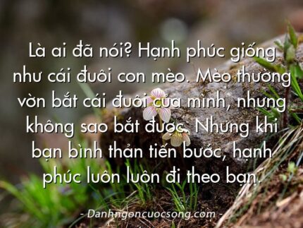 Là ai đã nói? Hạnh phúc giống như cái đuôi con mèo. Mèo thường vờn bắt cái đuôi của mình, nhưng không sao bắt được. Nhưng khi bạn bình thản tiến bước, hạnh phúc luôn luôn đi theo bạn.