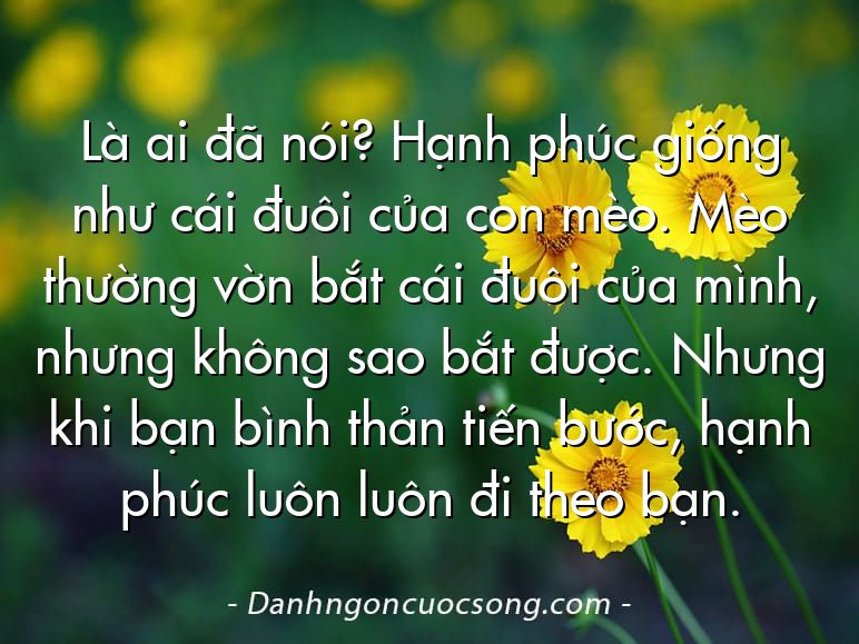 Là ai đã nói? Hạnh phúc giống như cái đuôi của con mèo. Mèo thường vờn bắt cái đuôi của mình, nhưng không sao bắt được. Nhưng khi bạn bình thản tiến bước, hạnh phúc luôn luôn đi theo bạn.