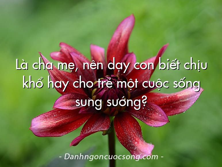 Là cha mẹ, nên dạy con biết chịu khổ hay cho trẻ một cuộc sống sung sướng?
