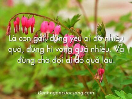 Là con gái, đừng yêu ai đó nhiều quá, đừng hi vọng quá nhiều. Và đừng chờ đợi ai đó quá lâu.