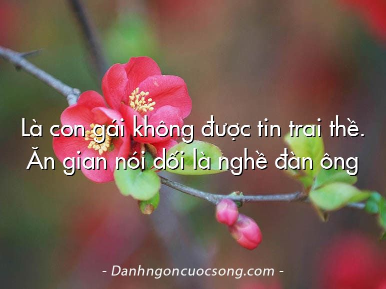 Là con gái không được tin trai thề. Ăn gian nói dối là nghề đàn ông