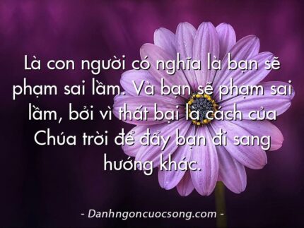 Là con người có nghĩa là bạn sẽ phạm sai lầm. Và bạn sẽ phạm sai lầm, bởi vì thất bại là cách của Chúa trời để đẩy bạn đi sang hướng khác.