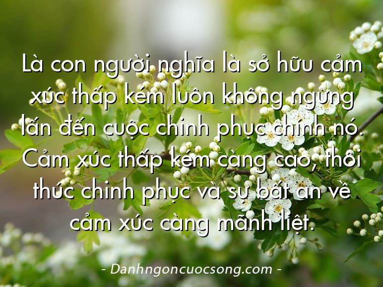 Là con người nghĩa là sở hữu cảm xúc thấp kém luôn không ngừng lấn đến cuộc chinh phục chính nó. Cảm xúc thấp kém càng cao, thôi thúc chinh phục và sự bất an về cảm xúc càng mãnh liệt.