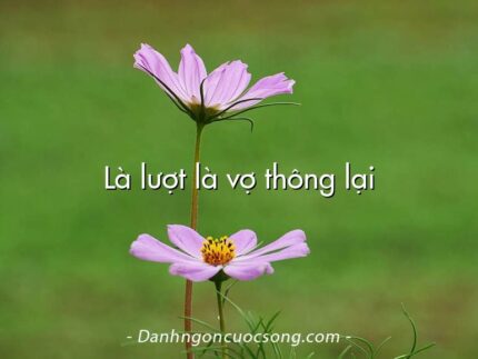 Là lượt là vợ thông lại