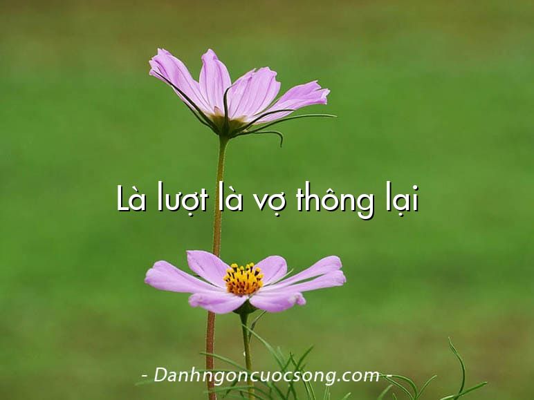 Là lượt là vợ thông lại