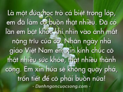 Là một đứa học trò cá biệt trong lớp, em đã làm cô buồn thật nhiều. Đã có lần em bật khóc khi nhìn vào ánh mắt nặng trĩu của cô. Nhân ngày nhà giáo Việt Nam em xin kính chúc cô thật nhiều sức khỏe, thật nhiều thành công. Em xin hứa sẽ không quậy phá, trốn tiết để cô phải buồn nữa!