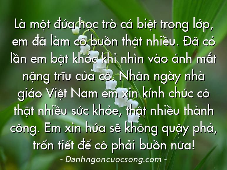 Là một đứa học trò cá biệt trong lớp, em đã làm cô buồn thật nhiều. Đã có lần em bật khóc khi nhìn vào ánh mắt nặng trĩu của cô. Nhân ngày nhà giáo Việt Nam em xin kính chúc cô thật nhiều sức khỏe, thật nhiều thành công. Em xin hứa sẽ không quậy phá, trốn tiết để cô phải buồn nữa!