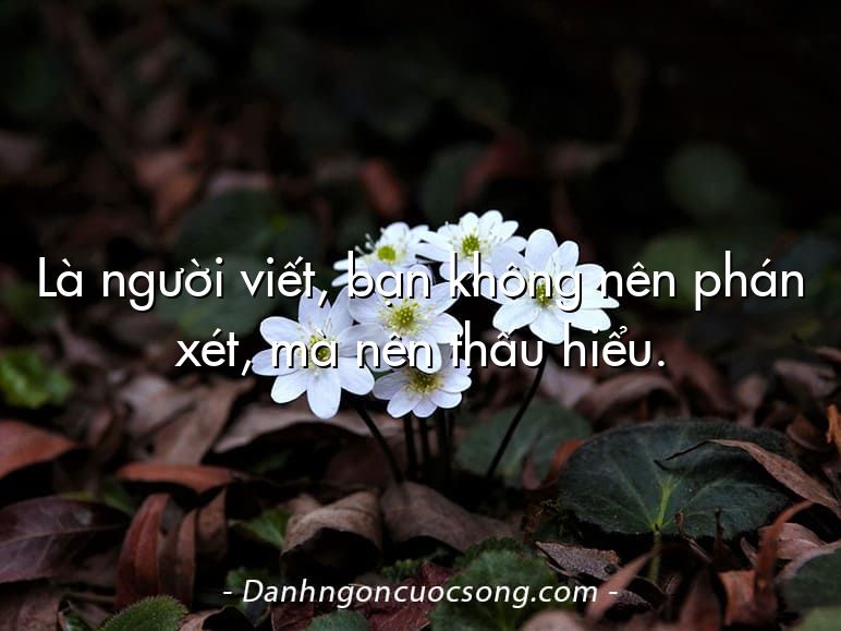 Là người viết, bạn không nên phán xét, mà nên thấu hiểu.