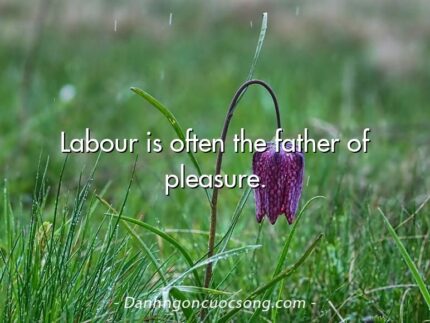Labour is often the father of pleasure.