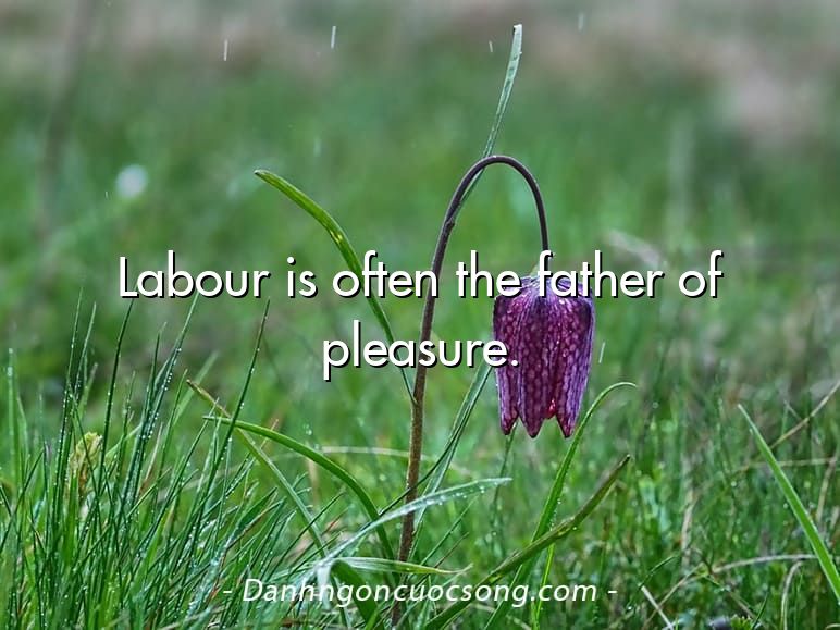 Labour is often the father of pleasure.