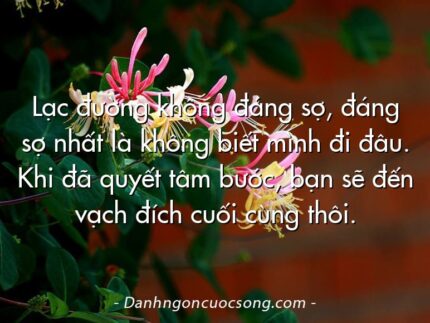 Lạc đường không đáng sợ, đáng sợ nhất là không biết mình đi đâu. Khi đã quyết tâm bước, bạn sẽ đến vạch đích cuối cùng thôi.