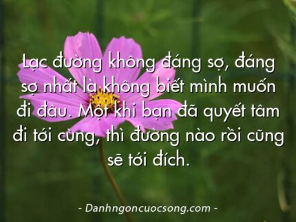 Lạc đường không đáng sợ, đáng sợ nhất là không biết mình muốn đi đâu. Một khi bạn đã quyết tâm đi tới cùng, thì đường nào rồi cũng sẽ tới đích.