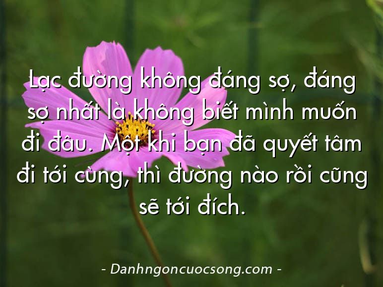 Lạc đường không đáng sợ, đáng sợ nhất là không biết mình muốn đi đâu. Một khi bạn đã quyết tâm đi tới cùng, thì đường nào rồi cũng sẽ tới đích.