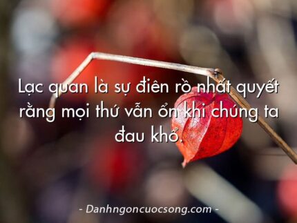 Lạc quan là sự điên rồ nhất quyết rằng mọi thứ vẫn ổn khi chúng ta đau khổ.