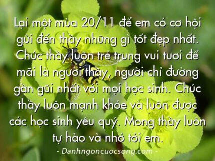 Lại một mùa 20/11 để em có cơ hội gửi đến thầy những gì tốt đẹp nhất. Chúc thầy luôn trẻ trung vui tươi để mãi là người thầy, người chỉ đường gần gũi nhất với mọi học sinh. Chúc thầy luôn mạnh khỏe và luôn được các học sinh yêu quý. Mong thầy luôn tự hào và nhớ tới em.