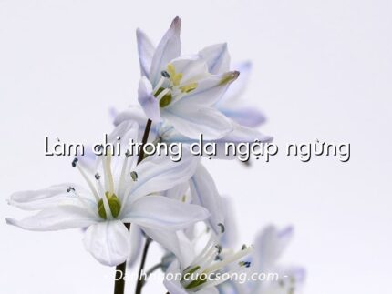 Làm chi trong dạ ngập ngừng