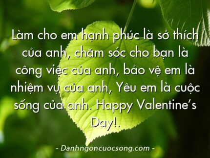 Làm cho em hạnh phúc là sở thích của anh, chăm sóc cho bạn là công việc của anh, bảo vệ em là nhiệm vụ của anh, Yêu em là cuộc sống của anh. Happy Valentine’s Day!.