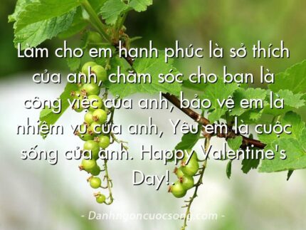 Làm cho em hạnh phúc là sở thích của anh, chăm sóc cho bạn là công việc của anh, bảo vệ em là nhiệm vụ của anh, Yêu em là cuộc sống của anh. Happy Valentine's Day!.