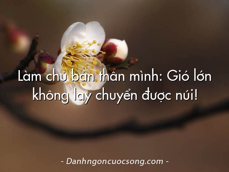 Làm chủ bản thân mình: Gió lớn không lay chuyển được núi!