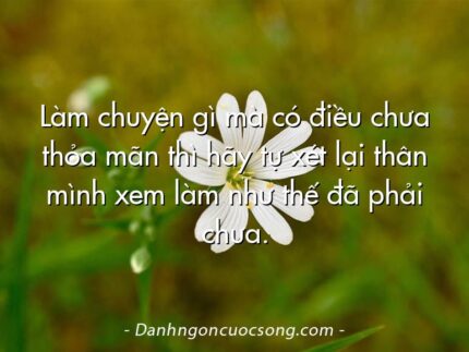 Làm chuyện gì mà có điều chưa thỏa mãn thì hãy tự xét lại thân mình xem làm như thế đã phải chưa.