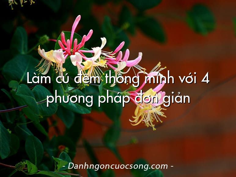 Làm cú đêm thông minh với 4 phương pháp đơn giản
