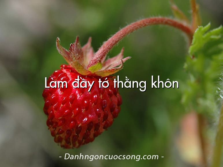 Làm đầy tớ thằng khôn