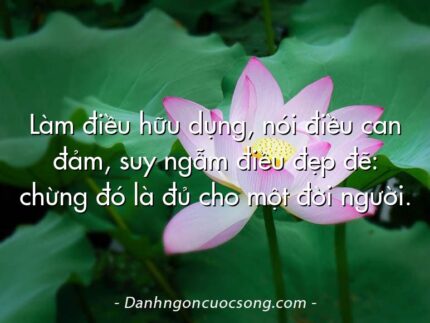 Làm điều hữu dụng, nói điều can đảm, suy ngẫm điều đẹp đẽ: chừng đó là đủ cho một đời người.