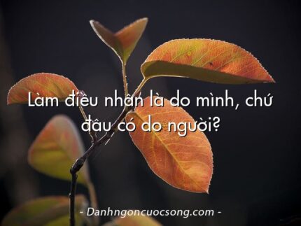 Làm điều nhân là do mình, chứ đâu có do người?