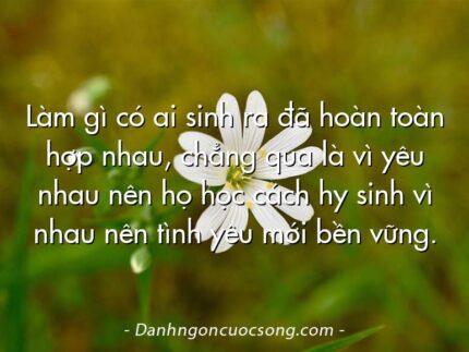 Làm gì có ai sinh ra đã hoàn toàn hợp nhau, chẳng qua là vì yêu nhau nên họ học cách hy sinh vì nhau nên tình yêu mới bền vững.