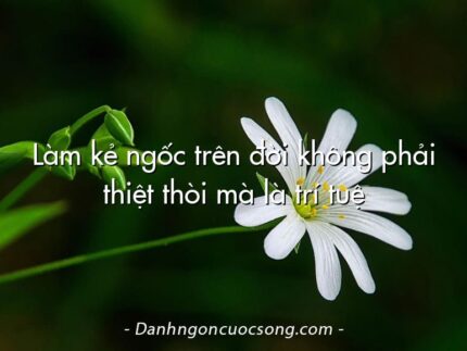 Làm kẻ ngốc trên đời không phải thiệt thòi mà là trí tuệ