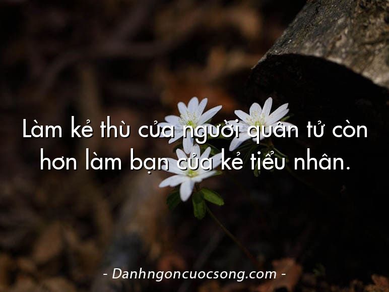 Làm kẻ thù của người quân tử còn hơn làm bạn của kẻ tiểu nhân.